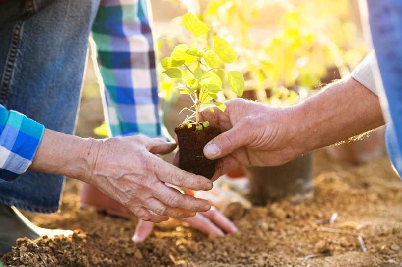 stel met groeiend plantje ter illustratie van gevoel dat moet groeien